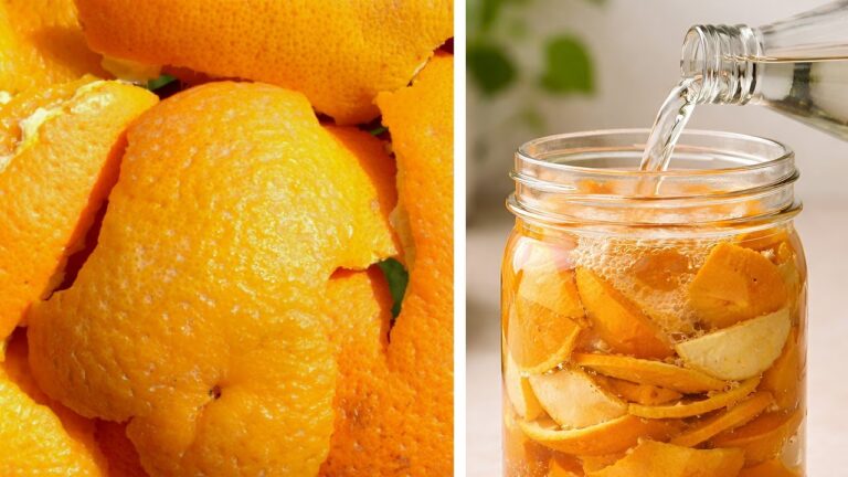 Niemand hätte gedacht… Mit Alufolie um das Haus wirst du staunen!